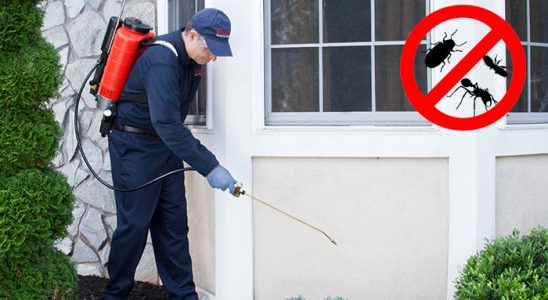 Simav Pire İlaçlama böcek ilaçlama ve haşere kontrolü — ilaclama-tr.com
